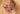 Gorgeous Butterfly Upin