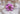 PINK FLORAL HAIR BAND
