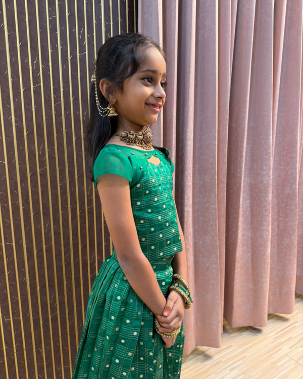 Mayilvizhi Pattu Pavadai