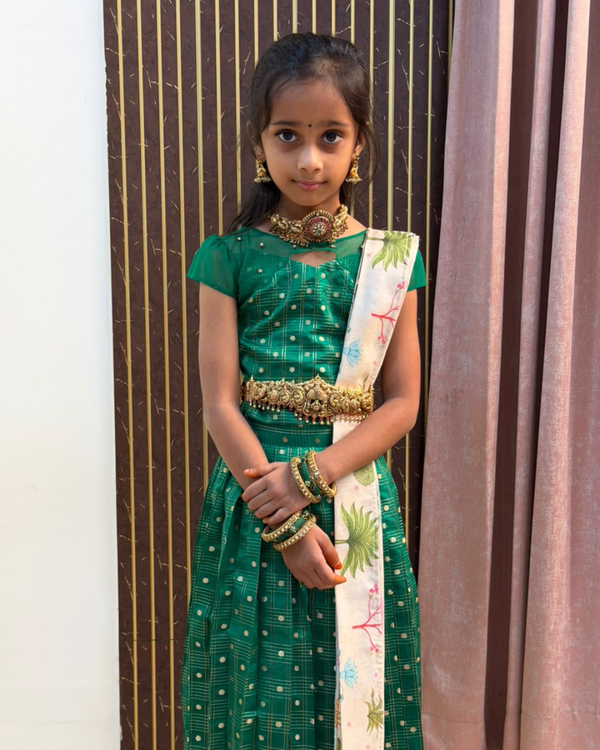 Mayilvizhi Pattu Pavadai